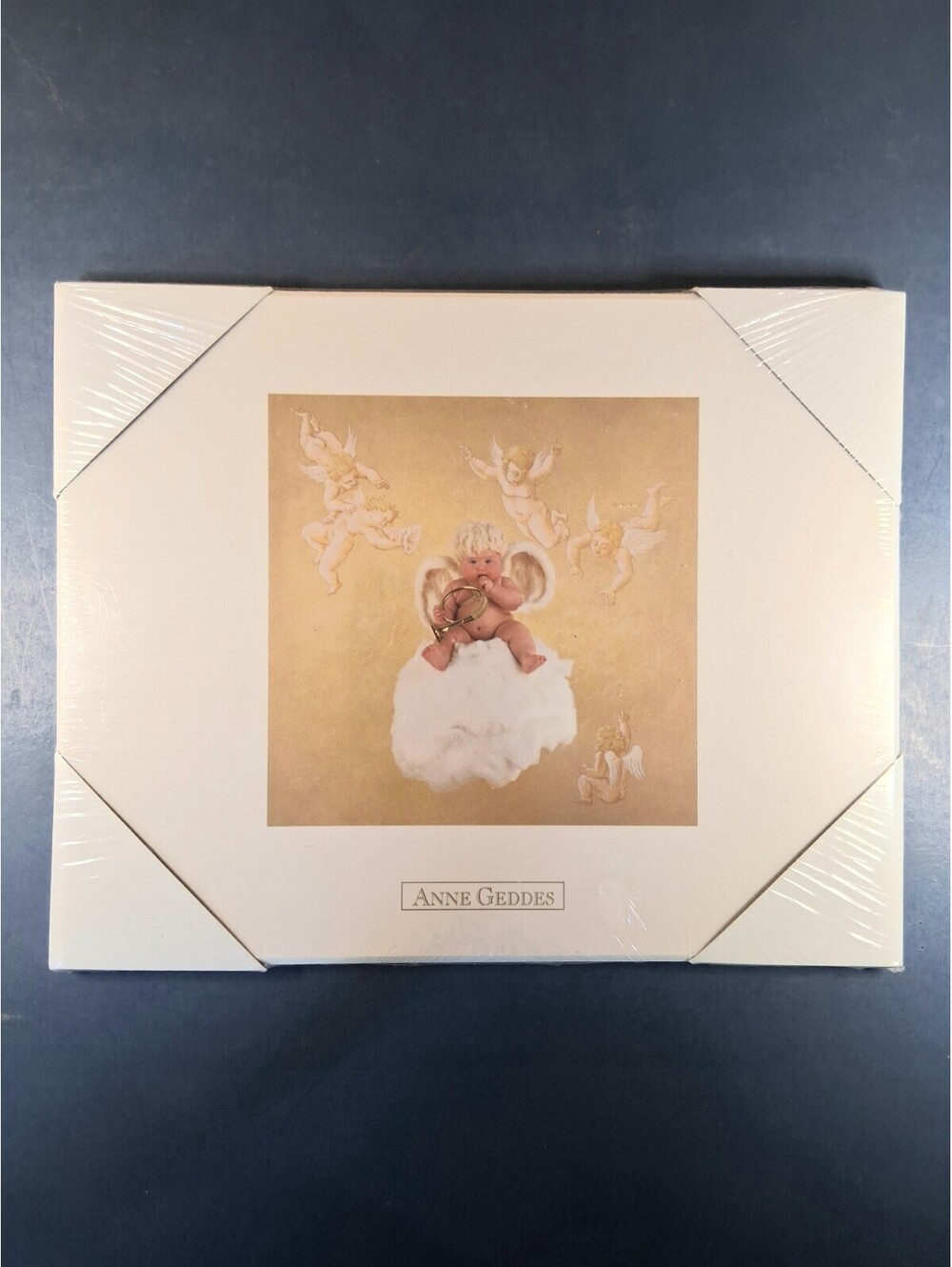 1995 Anne Geddes "Cherub Baby" 8x10 Wall Decoration Hanging Sealed Print on MDF
